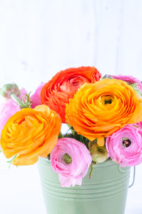 Close-up of colorful ranunculus bouquet Close-up of colorful ranunculus bouquet